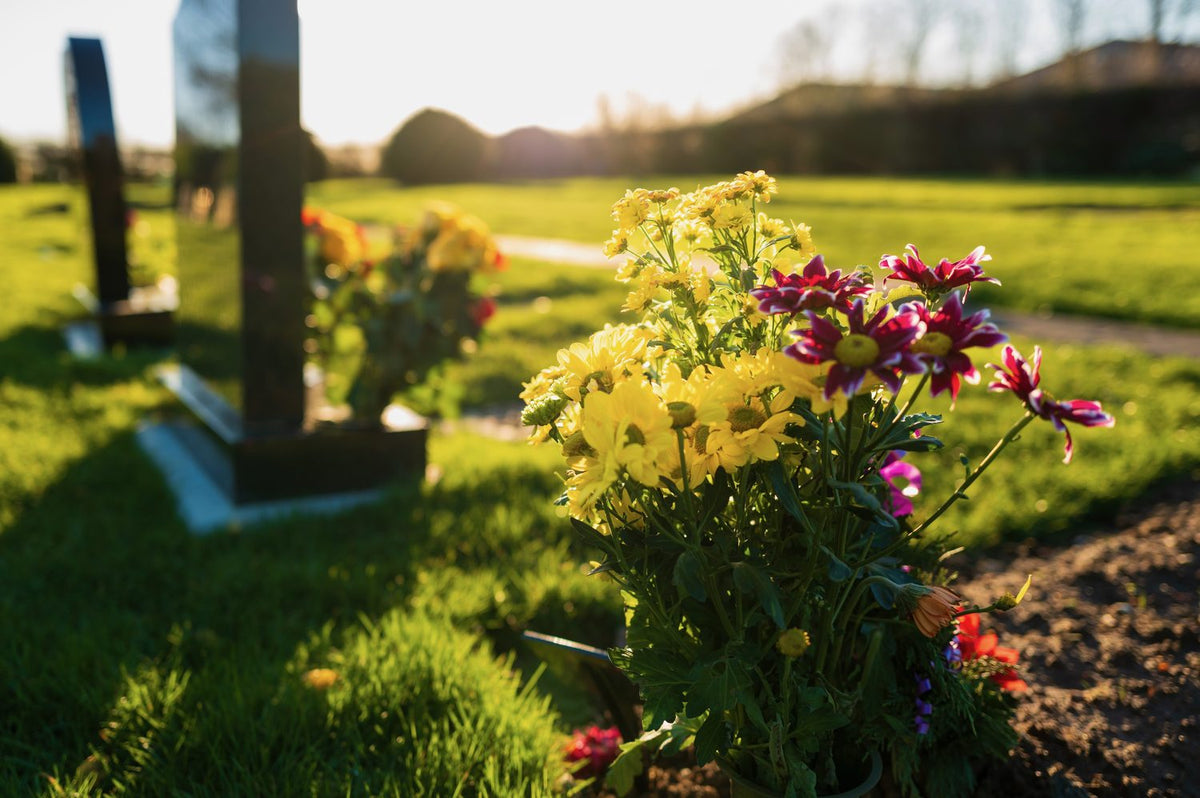 A close-up of a bouquet of yellow and pink flowers placed at a grave in a sunny cemetery, with blurred tombstones and green grass in the background.